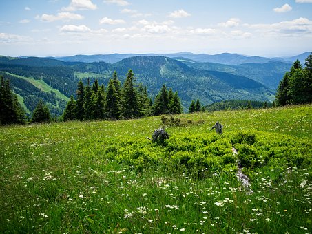 Feldberg Panorama