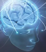 Quantentheorie +Bewusstsein thumbnail Görnitz